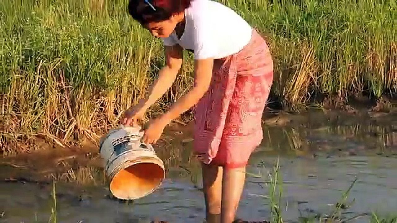 Amazing Fishing at Pailin Province - Cambodia Traditional Fishing - Khmer Net Fishing (Part 216)