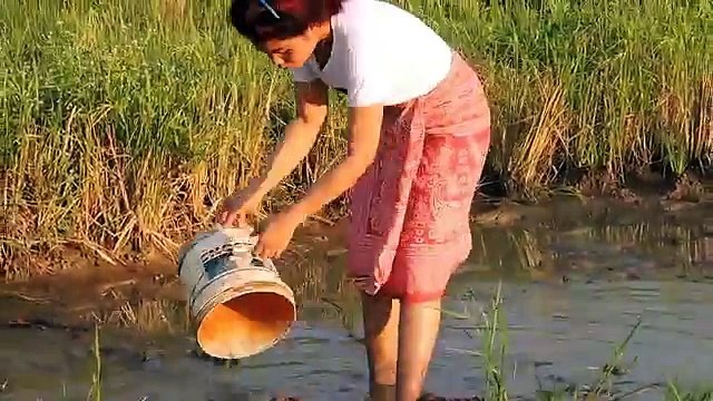 Amazing Fishing at Pailin Province - Cambodia Traditional Fishing - Khmer Net Fishing (Part 216)