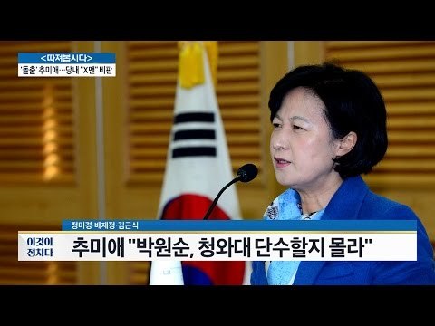 추미애, 잇단 ‘돌출 발언’. 당내 ‘X맨’? [전원책의 이것이 정치다] 24회 20161124