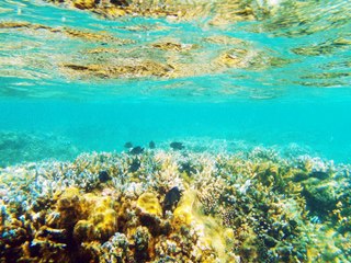La Mer pour Berceau.... Noèla M. Artiste