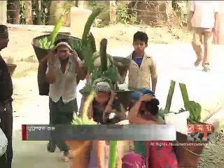 নানা কারণে দেশে ম্যালেরিয়া রোগ নিয়ন্ত্রণ সম্ভব হচ্ছে না