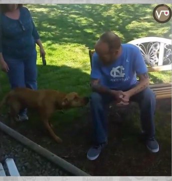 Dog doesn't recognize owner until he sniffs him