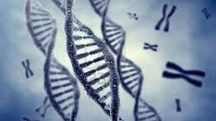CROMOSOMAS Y GENES : DOCUMENTAL COMPLETO