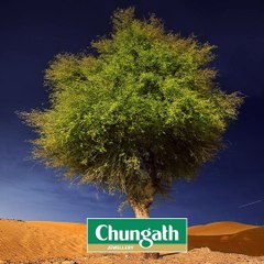 അല്‍ഭുതപ്പെടുത്തും ഷാർജയുടെ ഈ വൃക്ഷ സ്‌നേഹം #AnweshanamWorld