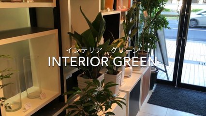 ネクストステージ中野を小物でオシャレに (6)