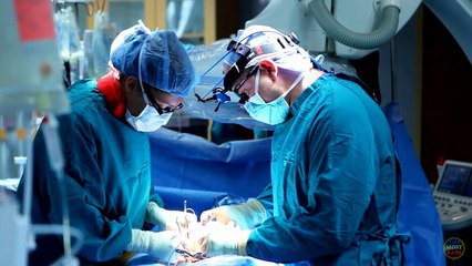 10 Bodies You Won't Believe Actually Exist