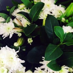 Best Mooloolaba Florist - The Posy Co