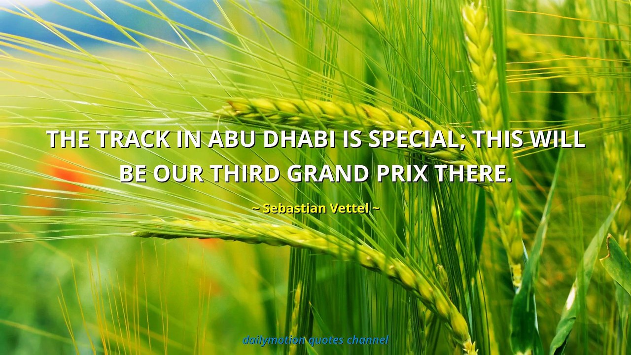 Sebastian Vettel Quotes #2