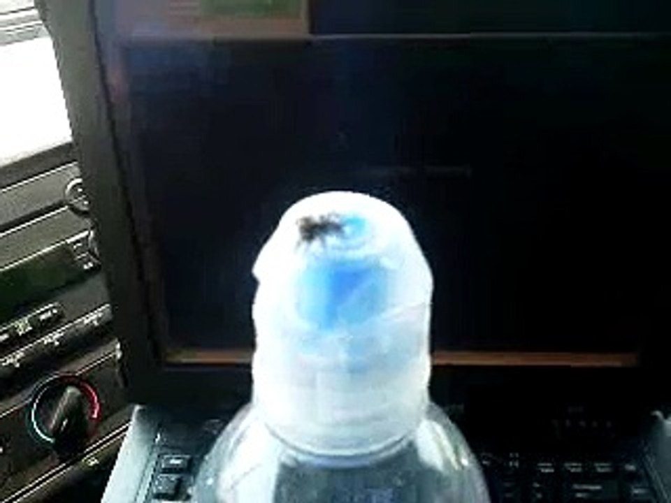 Attaqué par une toute petite araignée qui saute! ahaha