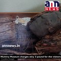 See the Silent Screams of 100 Mexican Mummies #AnnnewsWorld