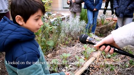 YRE International secondary school of Valbonne (France)