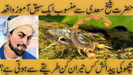 Bicho Ki Paydaesh kis tarhan hoti hai By Hazarat Sheikh Saadi - YouTube