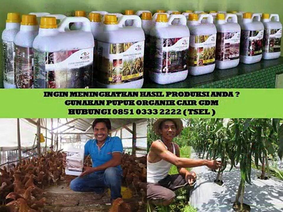 0851 0333 2222 (Tsel) Obat Tanaman Padi