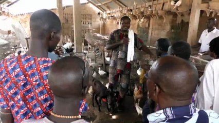 Benin's farmers break new ground | DW English