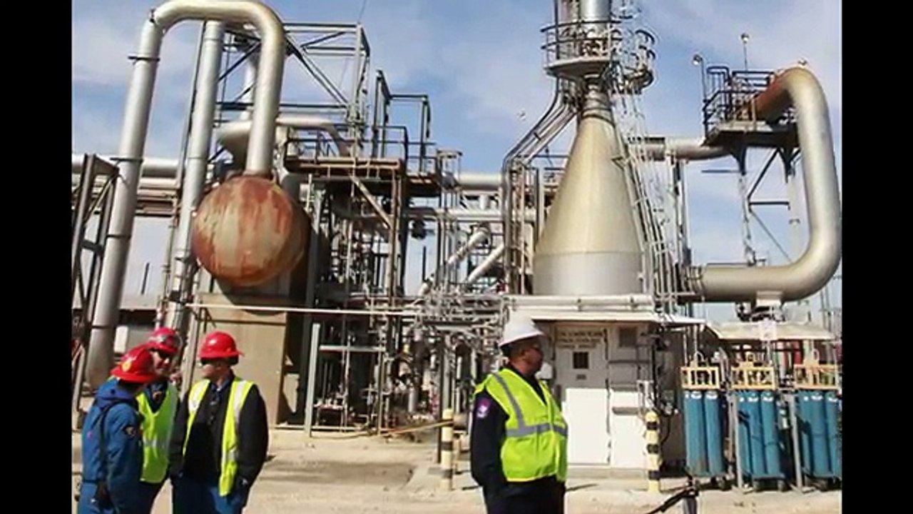 Plant Risk Assessment | Plant Safety Assessment