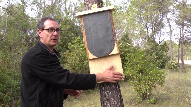 Construire un abri à Pipistrelles (chauves-souris)