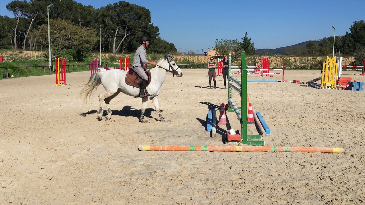 Vegas ladie villiers ponette à vendre