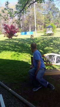 Un chien ne reconnait pas son maître après que celui-ci ait perdu 23 kg, les retrouvailles sont poignantes - VIDÉO