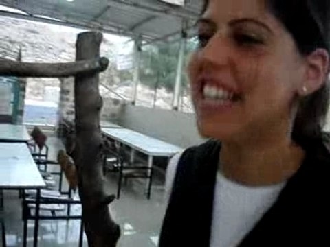 Ptit délir de 3 filles de Zehout