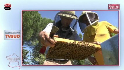 Le journal des territoires -Territoires d'Infos (25/04/2017)