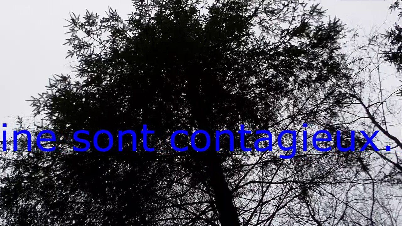 4-La jalousie et la haine sont contagieux-Jealousy and hatred are contagious