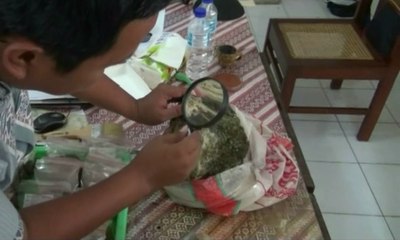 Fosil Laut Berusia Jutaan Tahun Ditemukan di Yogyakarta