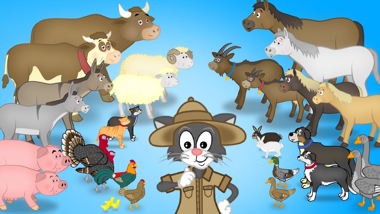 Découvre les animaux de la ferme et leur cris avec Tipo - Les Tiboon's