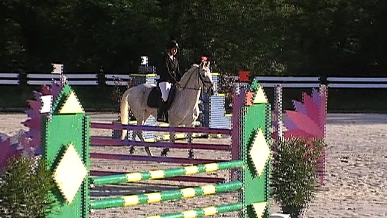 Milou et Tanis Prépa 95