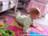 Videos Baby and Dog Funny Cute Dogs And Adorable Babies Best Babies and Animals Compilation