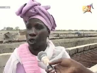 Dossier sur les Mangroves dans le Saloum - Xibaar Yi Soir - 24 Juin 2012