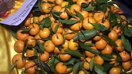 Tân Hồng Thái Di Lịch Ninh Bình Thanh Hóa Nghệ An Hà Tĩnh 2014 Phần 1