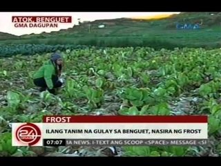 24Oras: Ilang tanim na gulay sa Benguet, nasira ng frost