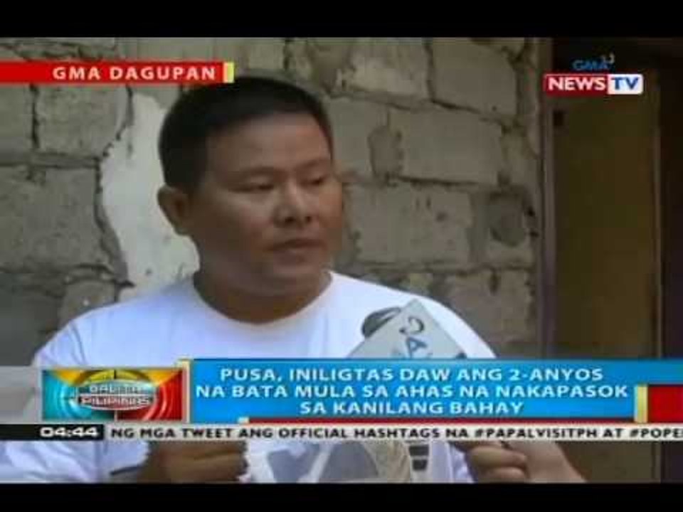 Pusa, iniligtas daw ang 2-anyos na bata mula sa ahas na nakapasok sa kanilang bahay sa Pangasinan