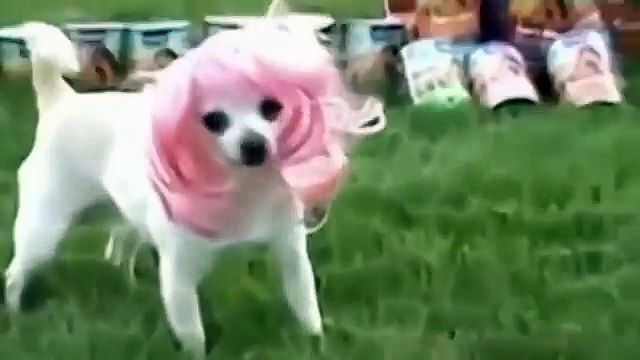 Угар полный | ЛУЧШИЕ ПРИКОЛЫ Ютуб