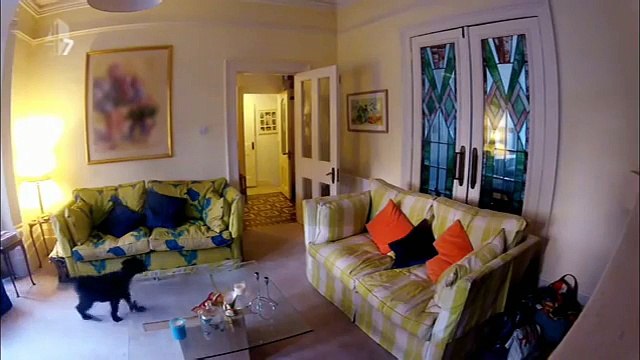 Ils découvrent ce que font leurs chiens pendant leur absence et ils ont vraiment le cœur brisé