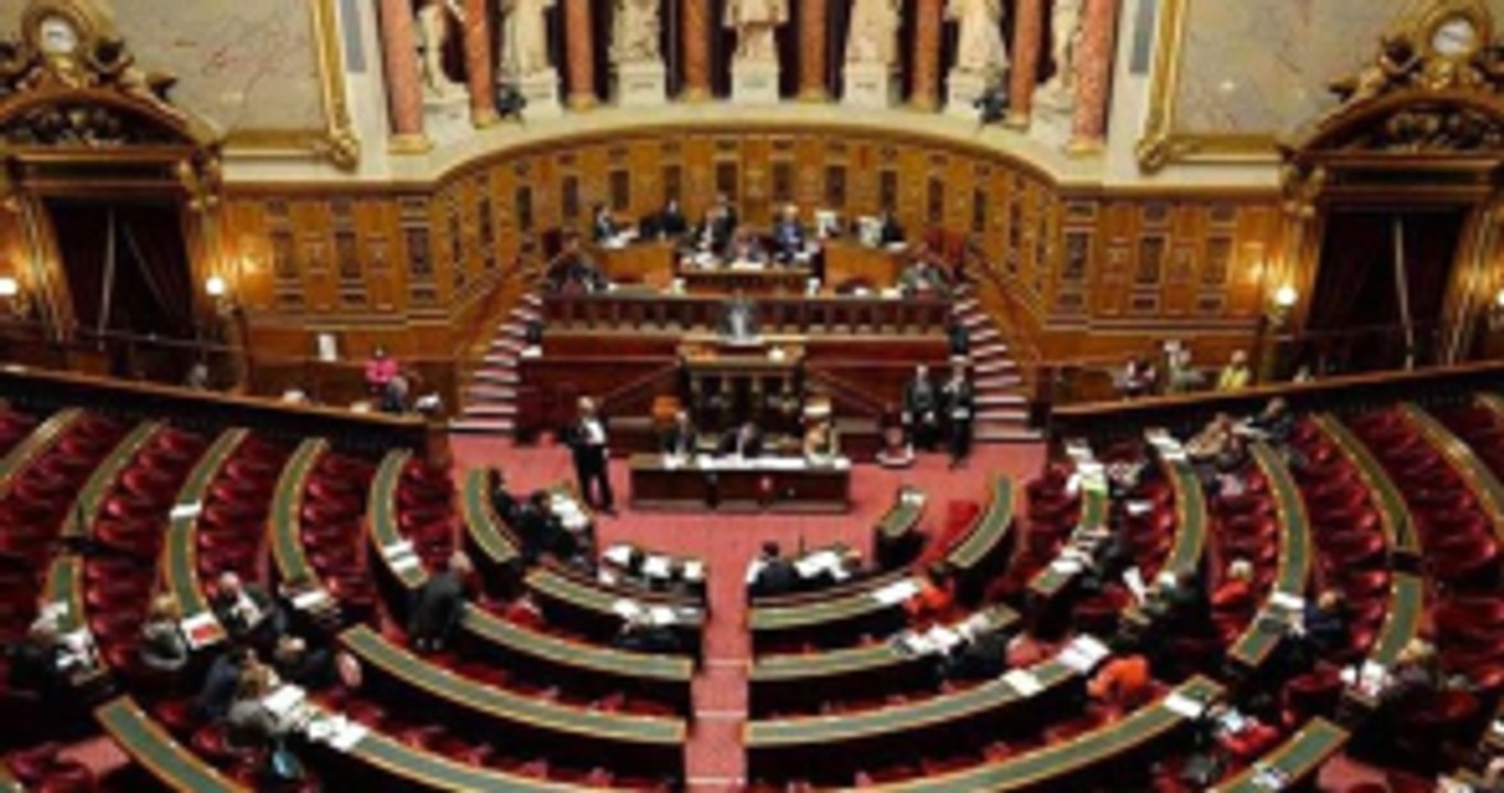 Fransa Anayasa Mahkemesi'nden Yasa İptali! Artık "Soykırımı" Reddetmek Suç Değil