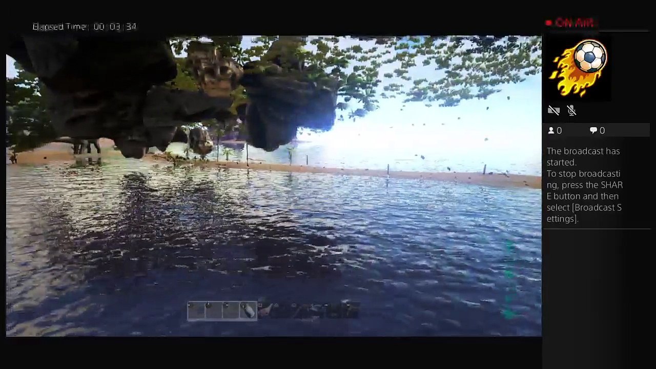 Ark (34)