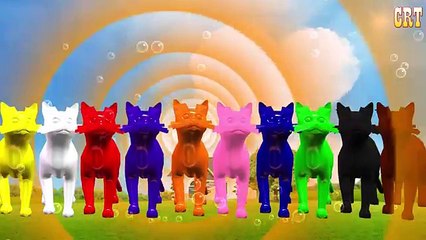 Bear Colourfull Colour Song || Kids Rhymes Collection For Learning Nursery Rhymes