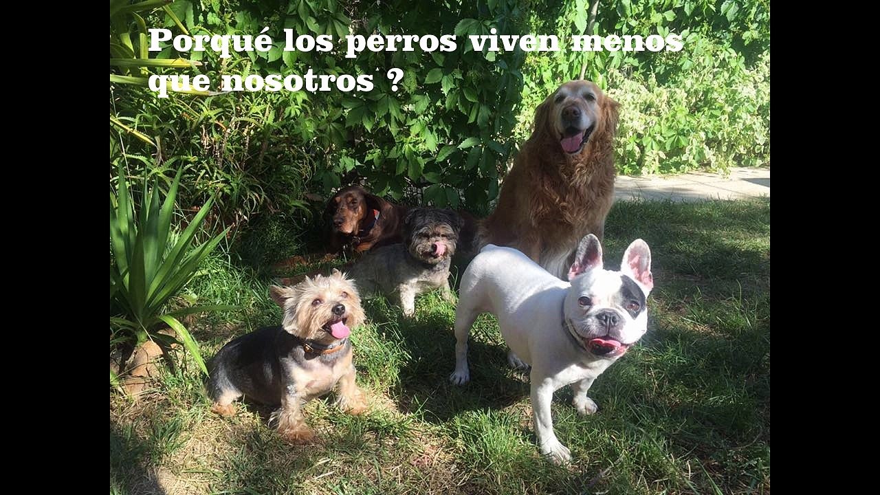 Homenaje a Betty