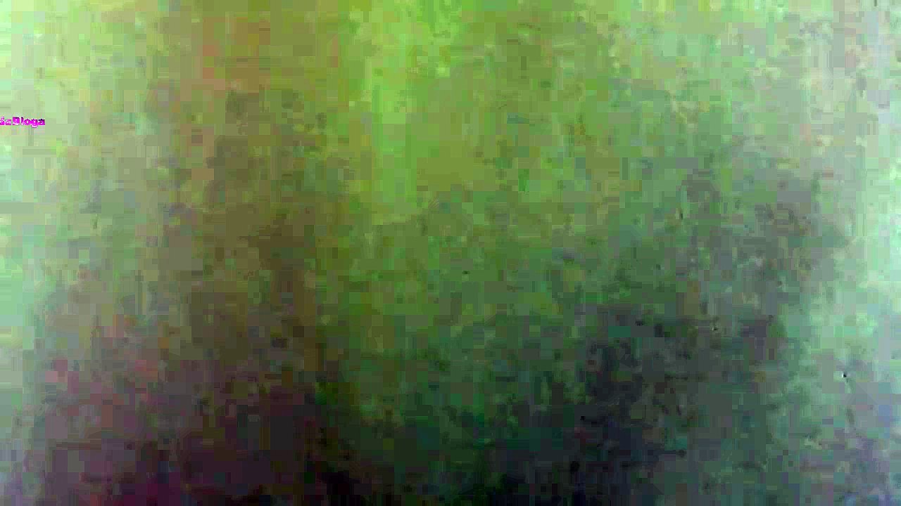 Intro AvidaBloga