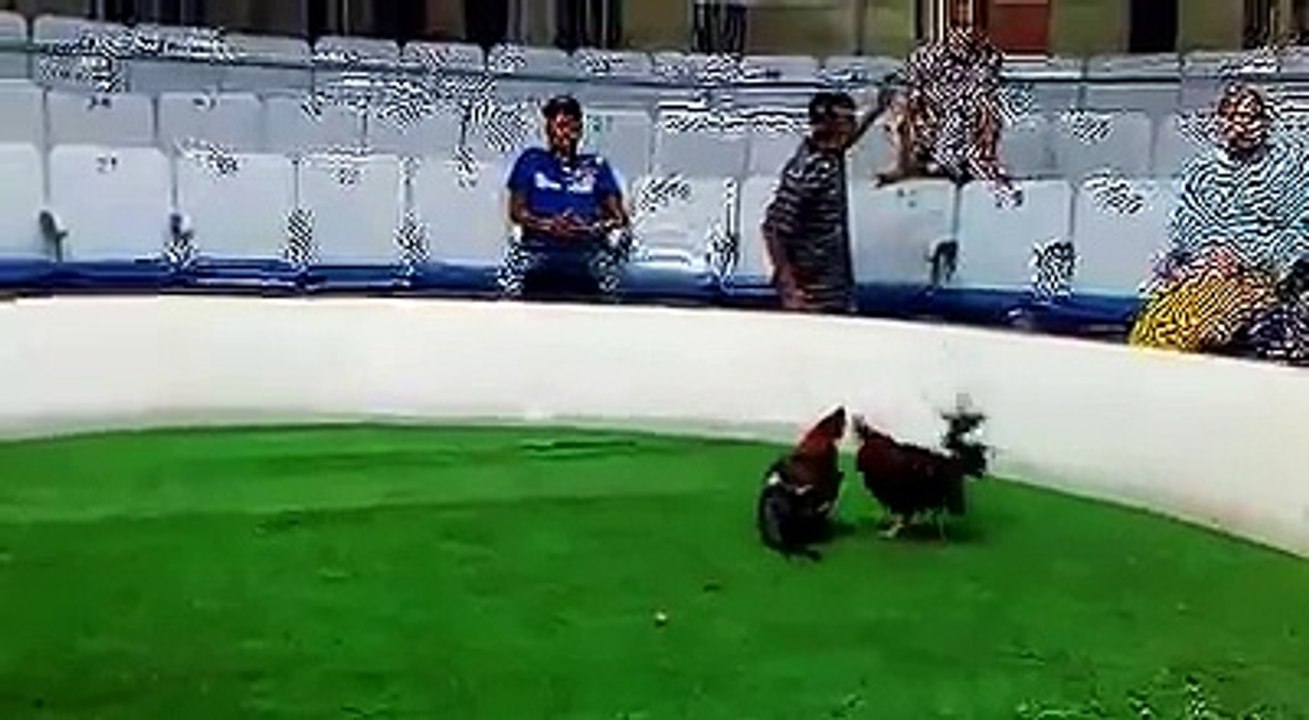Cinta Blanca Apodado La Pesadilla, De Nuestro Hermano Danny Caba.