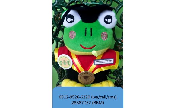 0812-9526-6220 - Jual Boneka Wisuda Bekasi