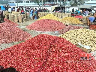 দাম নেই আলুর, বিপাকে বগুড়ার কৃষকরা