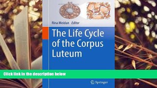 Read Online The Life Cycle of the Corpus Luteum  Pre Order