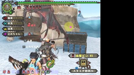 【MHF-Z】吐息すら凍てつく氷雪の檻、弓ソロ(NPC有)【辿異種★２ドドブランゴ】
