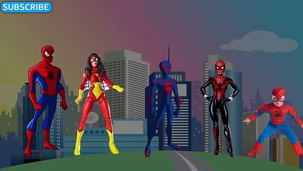 FINGER FAMILY SPIDERMAN Spider Woman Spider Man NURSURY RHYMES