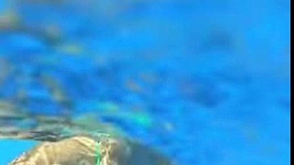 황금의제국카지노↘『BOA33。COM』♪멀티게임apk추천