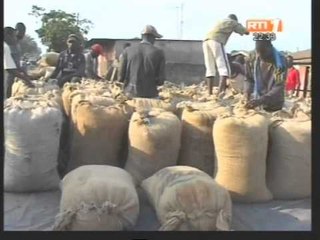 Agriculture/ du ministre de l'agriculture Sangafowa  va au contact des agriculteurs dès demain