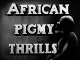 African Pygmy Thrills
