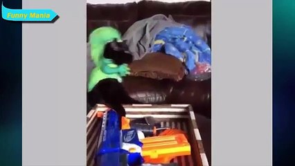 Most funny videos - funniest videos on the internet - cool funny videos